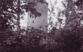 Galeria Podstrony Z albumu prof. Tadeusza Białeckiego 38
