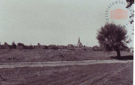 Galeria Podstrony Z albumu prof. Tadeusza Białeckiego 44