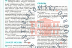 Galeria Podstrony Monografie - Mariusz Zając Trzebiat&oacute;w i zabytki 26