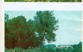 Galeria Podstrony Przewodnik - Trzebiat&oacute;w Lidia Kowalińska 24