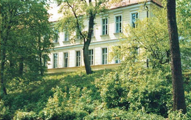 Galeria Podstrony Pałac 47