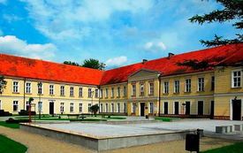 Galeria Podstrony Pałac 58