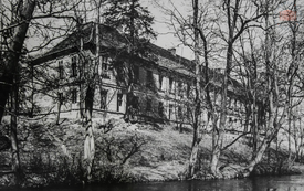 Galeria Podstrony Pałac 65