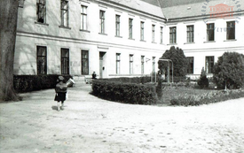 Galeria Podstrony Pałac 72