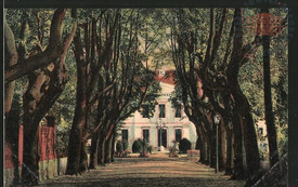 Galeria Podstrony Pałac 74