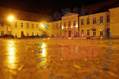 Galeria Podstrony Pałac 91