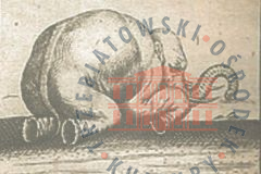 Galeria Podstrony Słonica Hansken 5