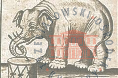 Galeria Podstrony Słonica Hansken 6