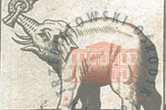 Galeria Podstrony Słonica Hansken 10