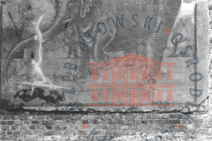Galeria Podstrony Słonica Hansken 14