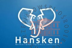 Galeria Podstrony Słonica Hansken 21