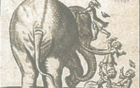 Galeria Podstrony Słonica Hansken 35
