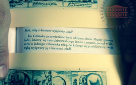 Galeria Podstrony Słonica Hansken 59