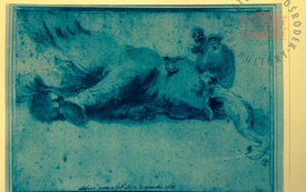 Galeria Podstrony Słonica Hansken 60