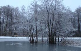 Galeria Podstrony Trzebiat&oacute;w w fotografii 37