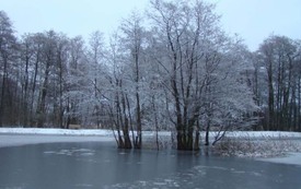 Galeria Podstrony Trzebiat&oacute;w w fotografii 38