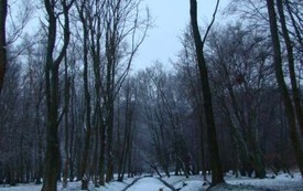 Galeria Podstrony Trzebiat&oacute;w w fotografii 42