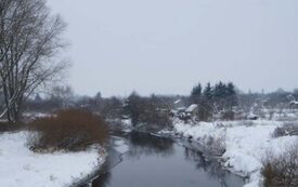 Galeria Podstrony Trzebiat&oacute;w w fotografii 47