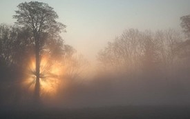Galeria Podstrony Trzebiat&oacute;w w fotografii 66
