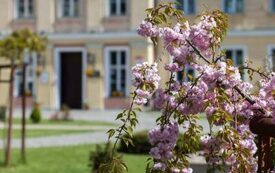 Galeria Podstrony Trzebiat&oacute;w w fotografii 73