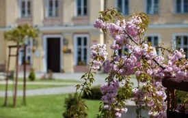 Galeria Podstrony Trzebiat&oacute;w w fotografii 74