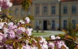 Galeria Podstrony Trzebiat&oacute;w w fotografii 75