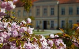 Galeria Podstrony Trzebiat&oacute;w w fotografii 76