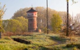 Galeria Podstrony Trzebiat&oacute;w w fotografii 99