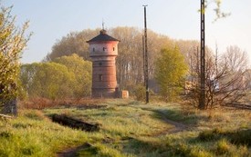 Galeria Podstrony Trzebiat&oacute;w w fotografii 100