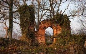 Galeria Podstrony Trzebiat&oacute;w w fotografii 102