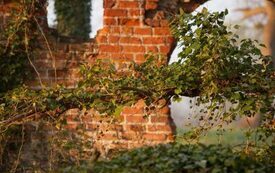 Galeria Podstrony Trzebiat&oacute;w w fotografii 103