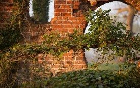 Galeria Podstrony Trzebiat&oacute;w w fotografii 104