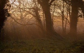 Galeria Podstrony Trzebiat&oacute;w w fotografii 108