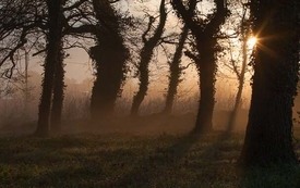 Galeria Podstrony Trzebiat&oacute;w w fotografii 110