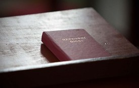Galeria Podstrony Trzebiat&oacute;w w fotografii 122