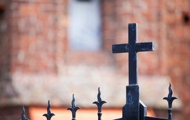 Galeria Podstrony Trzebiat&oacute;w w fotografii 132