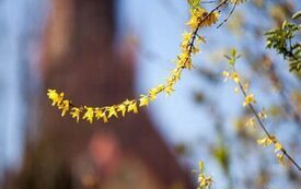 Galeria Podstrony Trzebiat&oacute;w w fotografii 133