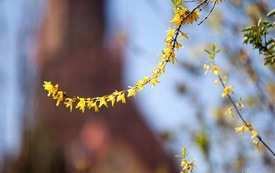 Galeria Podstrony Trzebiat&oacute;w w fotografii 134