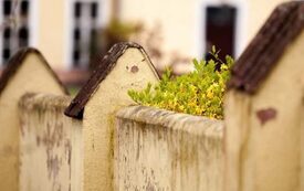 Galeria Podstrony Trzebiat&oacute;w w fotografii 171