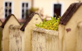 Galeria Podstrony Trzebiat&oacute;w w fotografii 172