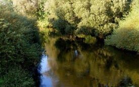 Galeria Podstrony Trzebiat&oacute;w w fotografii 173