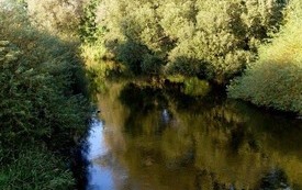Galeria Podstrony Trzebiat&oacute;w w fotografii 174