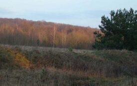 Galeria Podstrony Trzebiat&oacute;w w fotografii 199