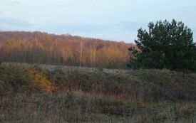 Galeria Podstrony Trzebiat&oacute;w w fotografii 200