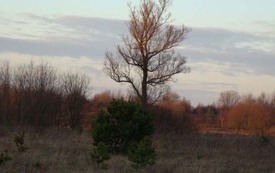 Galeria Podstrony Trzebiat&oacute;w w fotografii 206