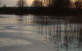 Galeria Podstrony Trzebiat&oacute;w w fotografii 208
