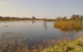 Galeria Podstrony Trzebiat&oacute;w w fotografii 216