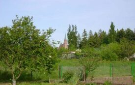 Galeria Podstrony Trzebiat&oacute;w w fotografii 223