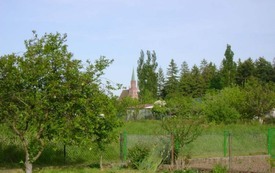 Galeria Podstrony Trzebiat&oacute;w w fotografii 224