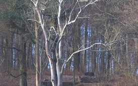 Galeria Podstrony Trzebiat&oacute;w w fotografii 272